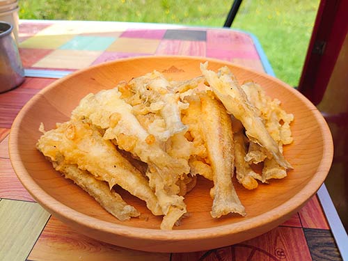 シロギスのフライも美味かった