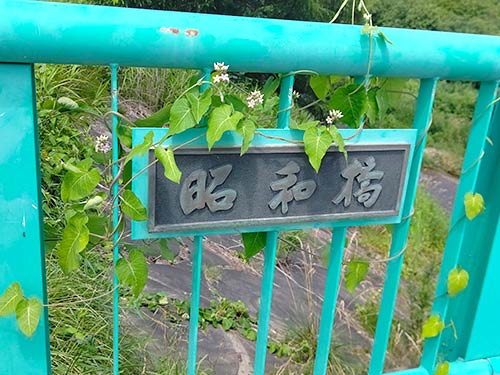 今回エントリーした昭和橋に辿り着く。ここからのエントリーがオススメ
