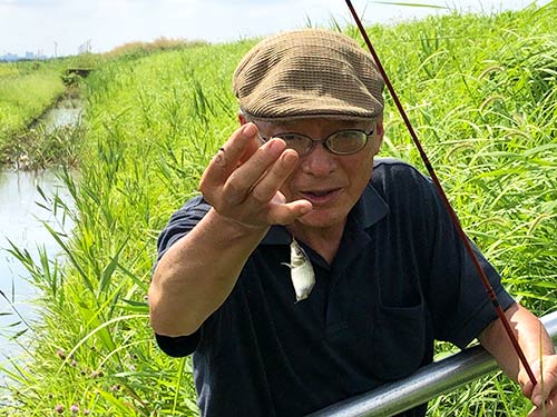 田んぼのホソではギンブナ