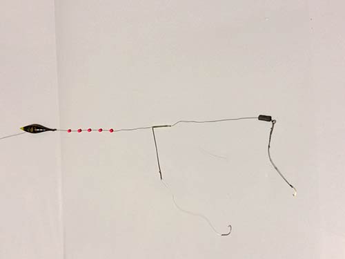 小ブナ用2本バリ