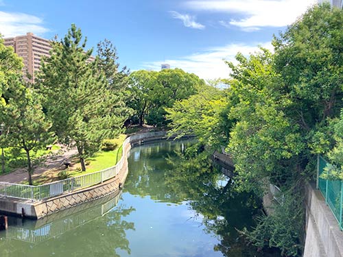 緑豊かな『仙台堀川公園』