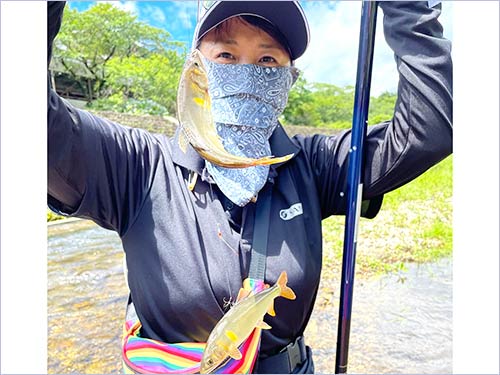 3年振りに出会えたアユは体高もありキラキラ輝いていた