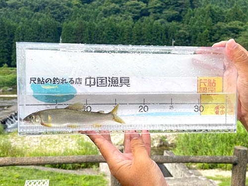 全体的に良いサイズが釣れていた