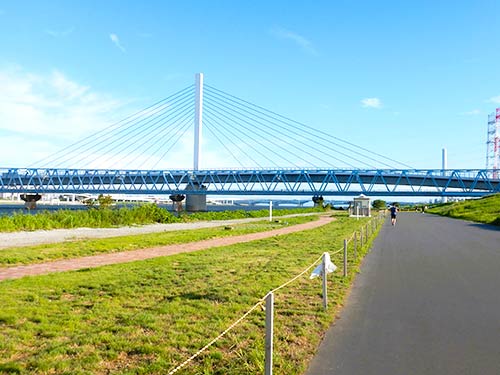 荒川には両岸にサイクリングロードがあるので自転車釣行が便利。河川敷内には駐車場が無いので注意