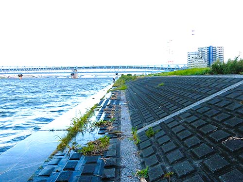 潮位150cm位、足場はいいが際でも水深200cm位あるので落水注意。潮が効くと急流なので救命着着用を勧めたい