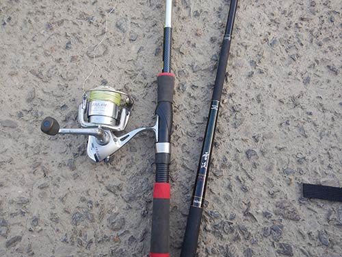 ■ぶっ込みタックル=コンパクトロッド2.1m、小型スピニング、ジェット天ビン15号、道糸PE1.5号、ハリス5号50cm、ウナギバリ15号、アオイソメ2匹掛け
■ハゼミャク釣り=渓流竿3.3m、道糸1号、ハリス0.8号、袖型5号、オモリ中通し1号