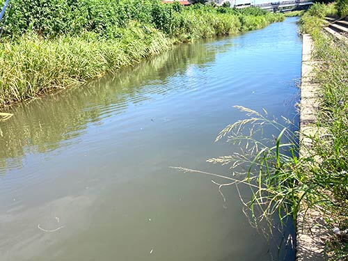 この日も風が強く、川の水は濁っていた