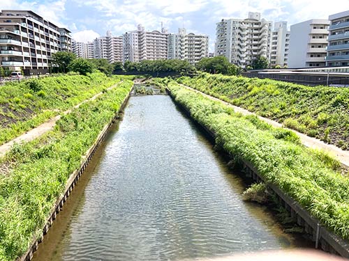 対岸までは片側1車線の道路の幅くらい。ピッチングでギリギリにルアーを打っていく