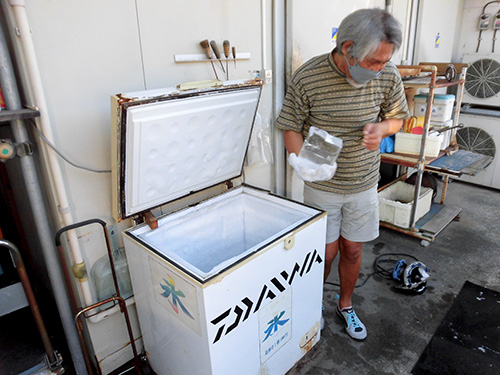 冷凍庫から氷を1つもらって船に移動