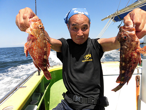 小型はリリースも良型多く釣果は上々!