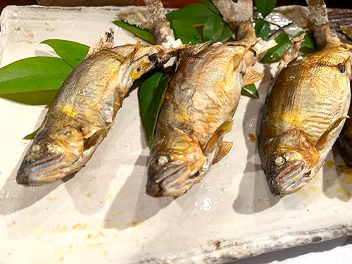 今回も釣ったアユは美味しくいただきました~