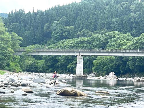 流れの肩の緩い所から~この時点でアユが沢山見えている