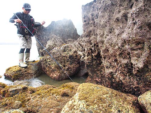 干潮で露出した岸際の岩場。こんな足元の浅い水溜りにジグヘッドワームを落として根魚を狙う。それが穴釣りだ