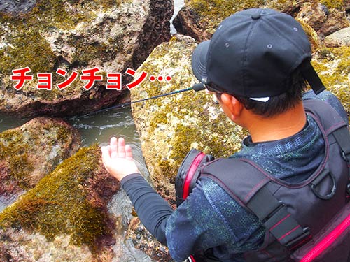 左手でラインの長さを短く調節しつつ、岩陰の角にワームを落としてチョンチョンと誘いをかける……