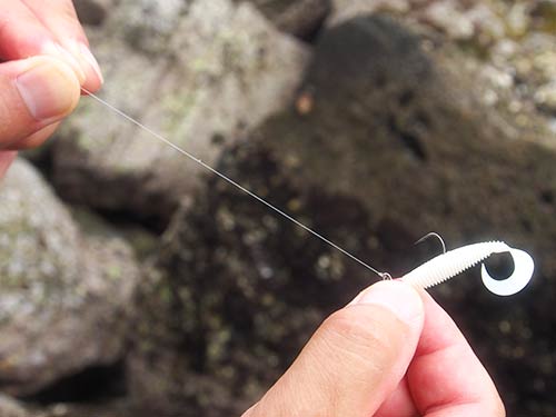 岩に擦る釣りであるため、ラインは傷つきやすい。ザラザラと毛羽立っていたら30cmほど切って結び直そう