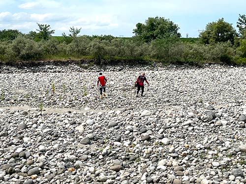 大事なオトリを川へ!気温は高く河原はあっついね!