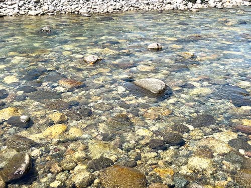常願寺川は水質が良く透明度が高い気持ちの良い川だ!