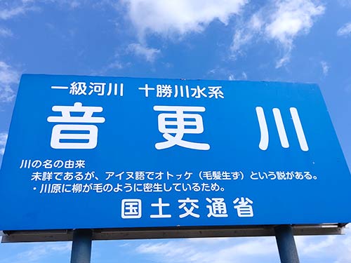 川の名前の通り、低木がびっしりと密生している
