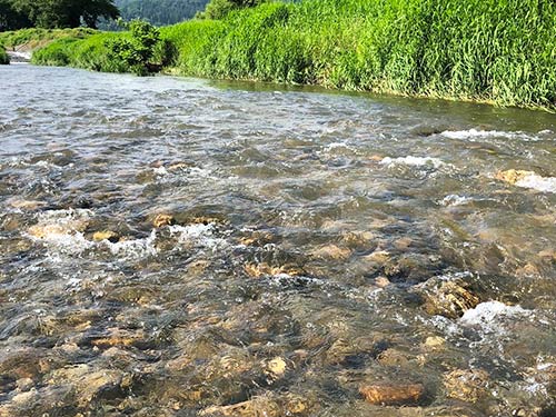 「水の郷百選」に認定されている知内川