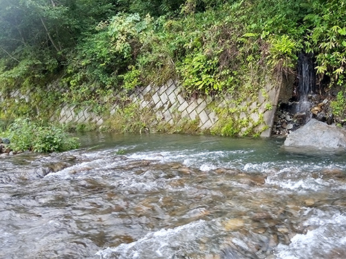 小沢の増水時ポイント