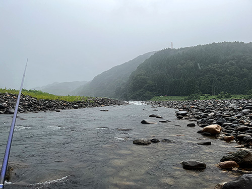また雨が強くなってきたぞ~