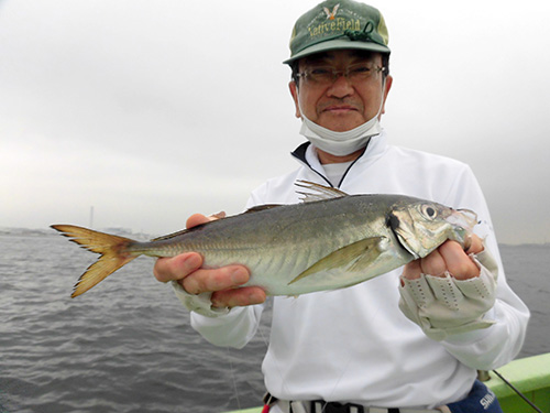 ライトタックルで釣り味もひとしお!