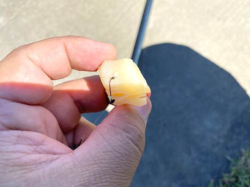 ハリを刺してひくだけで簡単につけられる