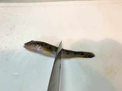 包丁でうろこを取り除く