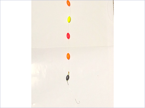 仕掛けは道糸1号にシモリウキを4個付けたミャク釣り仕掛けだ