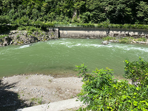 飛騨川は濁り、増水であった