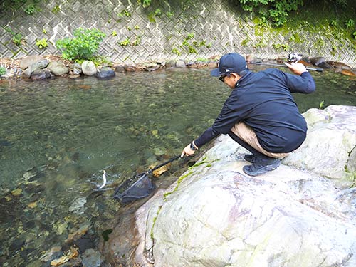 自然の川を利用した奈良子釣りセンターのストリームエリア。流れの中でヒットさせたニジマスはファイトも強く楽しい!