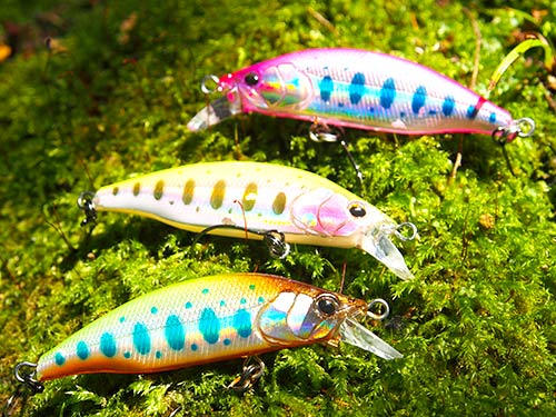 使用ルアーは美風50S(ムカイ)。サイズ=5cm、ウエイト=4.2gのシンキングミノーだ。レスポンスのよいアクションが持ち味で、ビギナーからエキスパートまで誰もが扱いやすいスタンダードモデル。仕上がりの美しさにもこだわったミノーだ