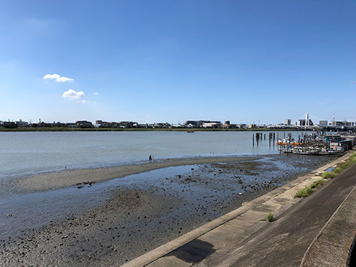 多摩川は楽しめる場所が豊富