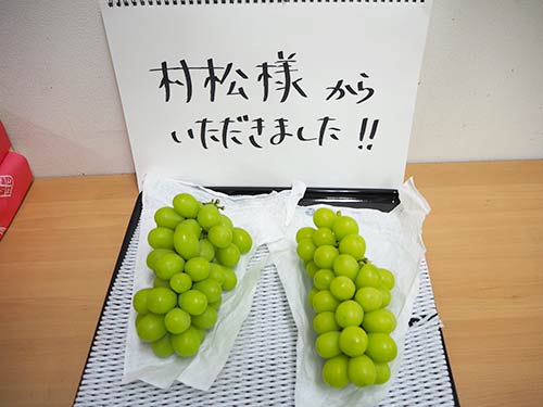 村松さんが精魂込めて作ったブドウは、スタッフに皆さんにも差し入れられた。本当に美味しかったです。