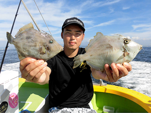 鴨居沖で釣れた良型カワハギ!