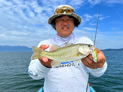 滋賀県 琵琶湖 秋のハス ケタバス 狙いで でかバスも釣れる 釣りビジョン マガジン 釣りビジョン