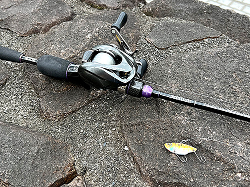望月ハス用タックル ロッド:SDC-605MMR-FTWブラッディ(セディション) リール:アルデバランBFS XG LEFT(シマノ) ライン:フロロマイスター12ポンド(クレハ) 3/8オンスのメタルバイブに使用したタックル。スピニングにくらべて、ベイトの方がエビになりづらいような気がするしリフト&フォールも正確にできる。ラインは10ポンドがやりやすいがオダが怖いので12ポンド。本当はPE2号くらいがいいのかもしれない。