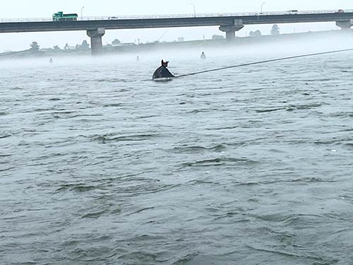 霧が立ち込め気温も上がらない寒い日だ