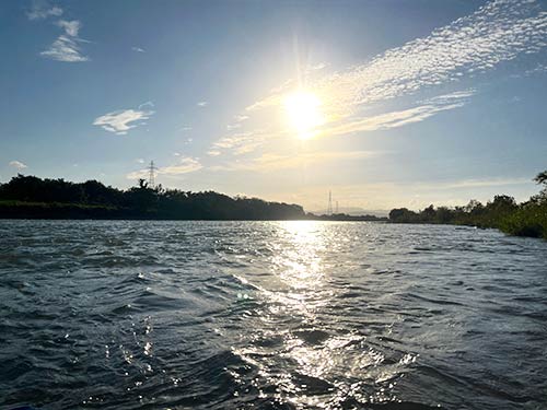 九頭竜川の夕暮れの中2022年アユ納竿