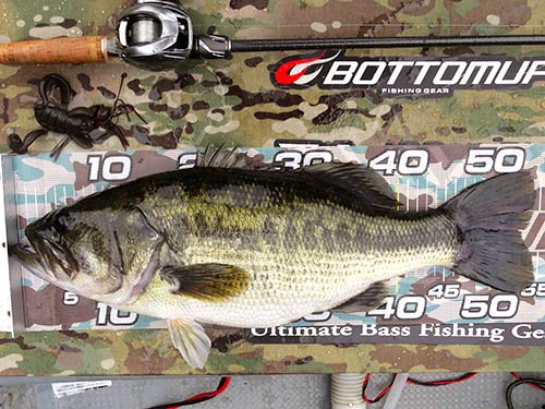 息詰まるファイトの末に上がってきたのは、見事なプロポーションを持つ54.5cm2770gのデカバス!