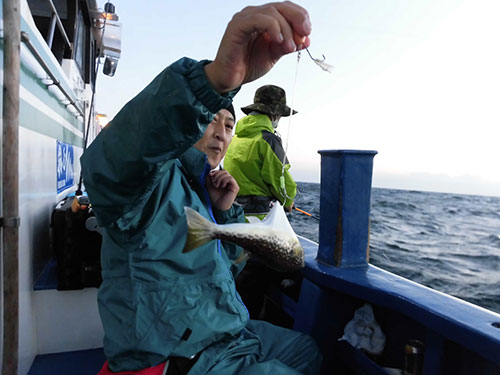 開始早々、「ショウサイフグ釣れました!」