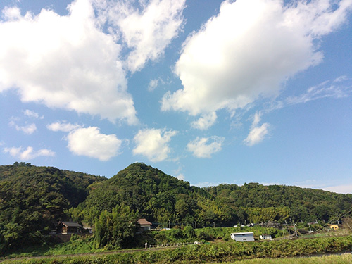 釣れない時間はついつい景色を眺めてしまう。美しい秋空