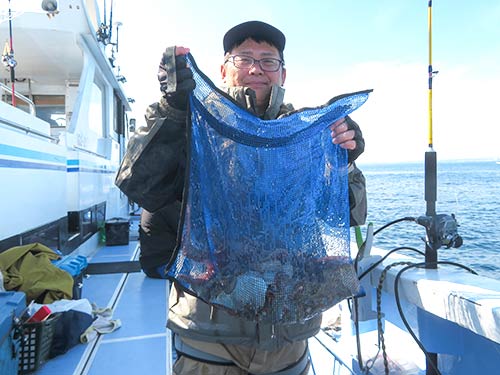 羨ましい釣果です
