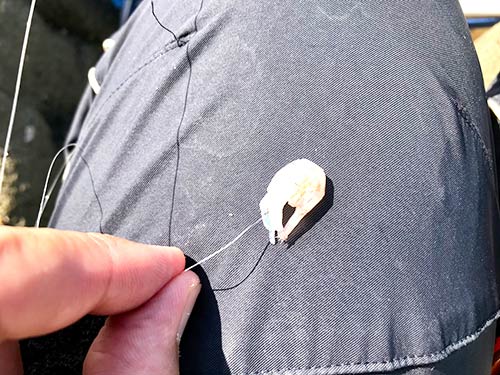 頭側から刺すとチモトが隠れやすい