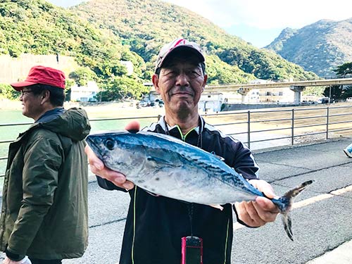美味しいスマを釣り上げた