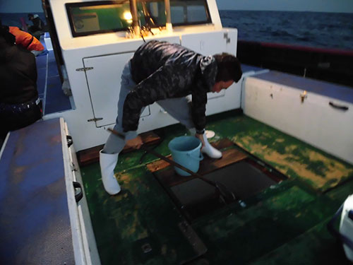 釣り場到着、船長が生け簀から餌を掬う