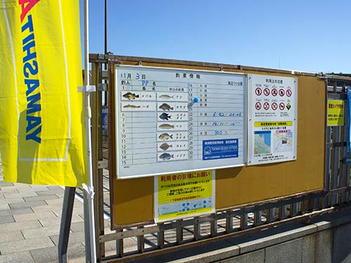 入口に釣果速報が掛かっている