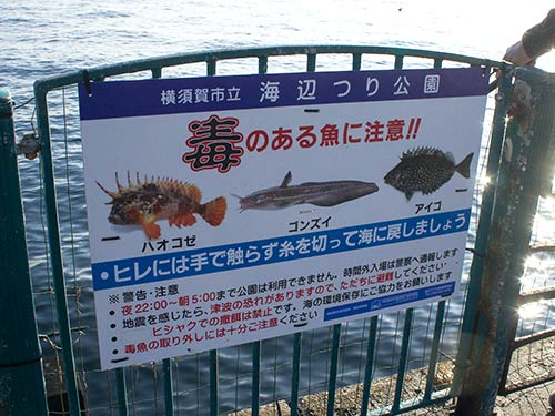ビギナー、ファミリーにはありがたい看板