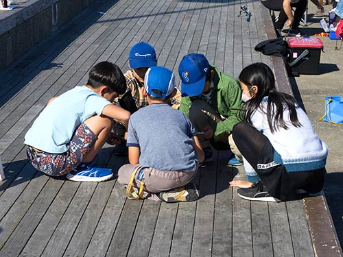 初めて会った子供達同士で、捌き方教室が開催されていた