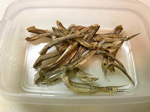 出来上がった焼干しは蓋をしないでタッパー等に入れ冷蔵庫で保管する(残っている水分も乾燥させるため)※出汁とりや甘露煮、柳川風鍋等にも使え、勿論、そのまま食べても美味い